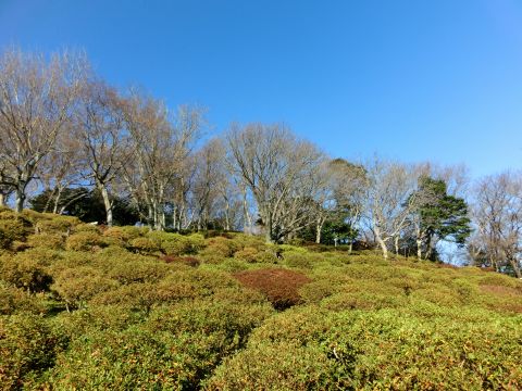 e0045768_21185339.jpg