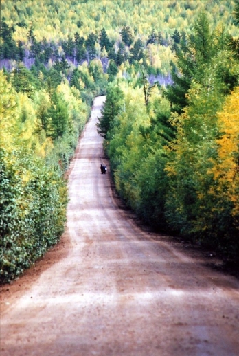 d0187477_1949661.jpg