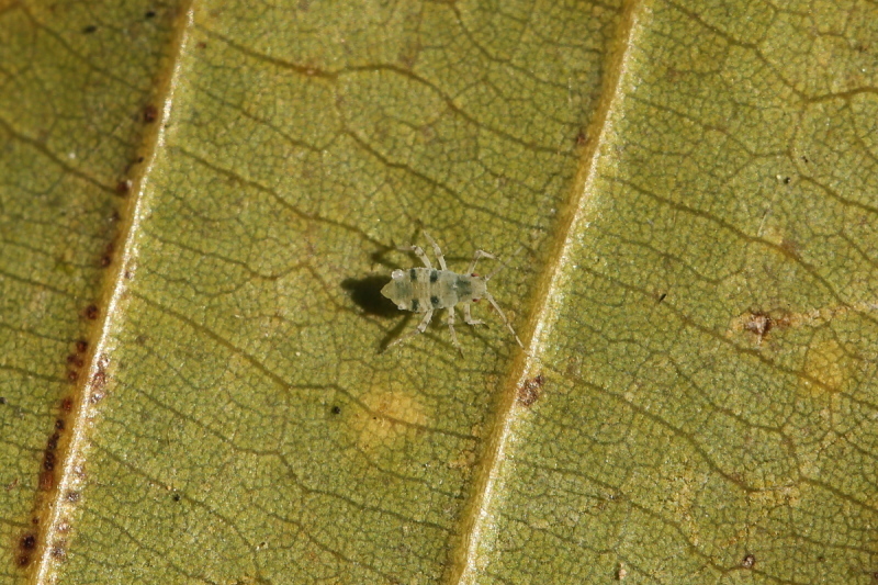 e0249878_23285695.jpg