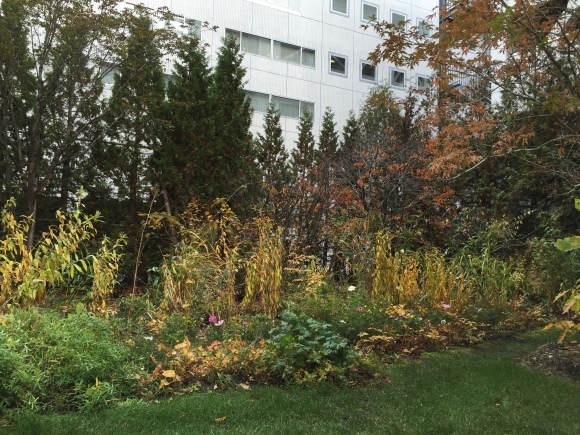 f0174198_19113636.jpg