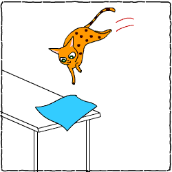 c0011300_22154595.gif