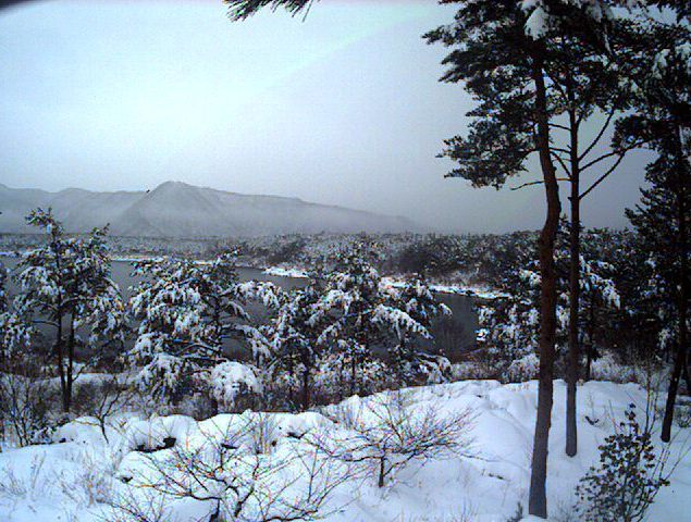 a0188405_12130142.jpg