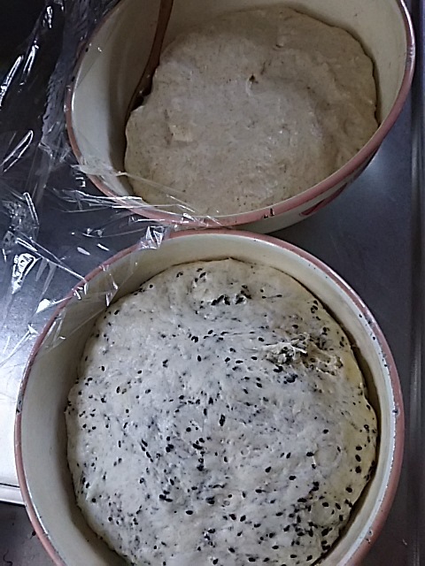 f0316507_20531566.jpg