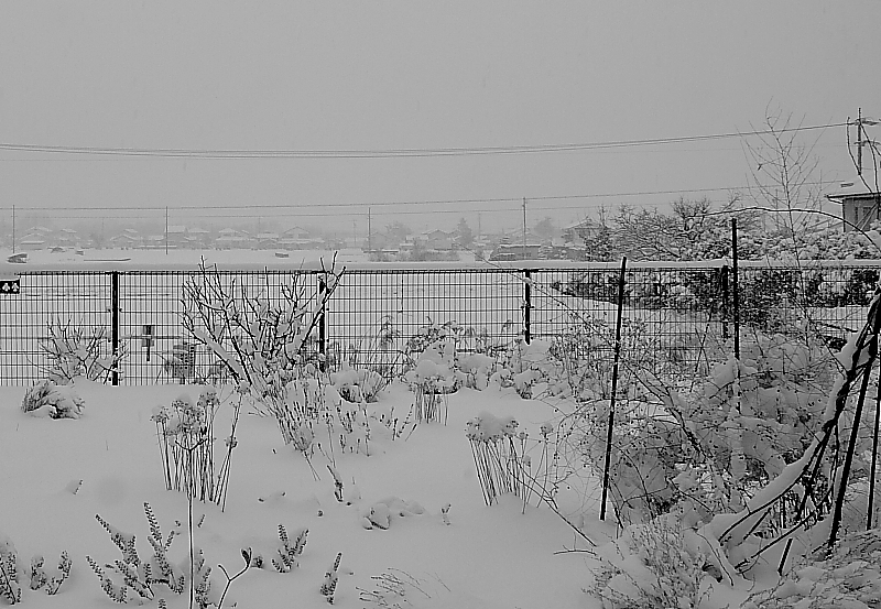 a0251508_2371233.jpg