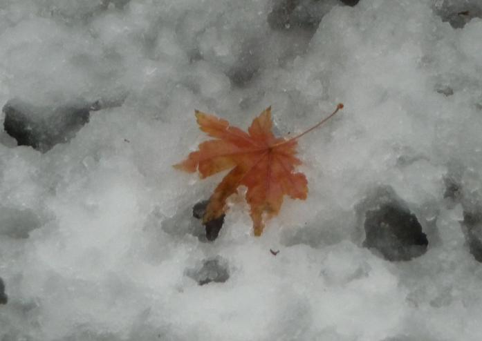 c0202113_19284423.jpg
