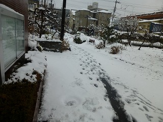 f0037623_15482071.jpg