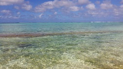 a0346332_01451508.jpg