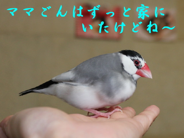 c0365734_22262501.jpg