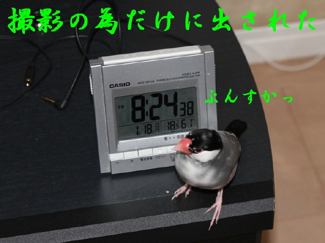 c0365734_22262716.jpg