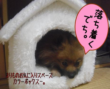 d0196736_15581779.png
