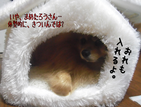 d0196736_15581986.png