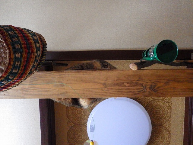 a0337237_14580449.jpg