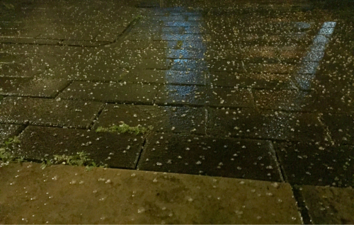 a0343740_18474628.jpg