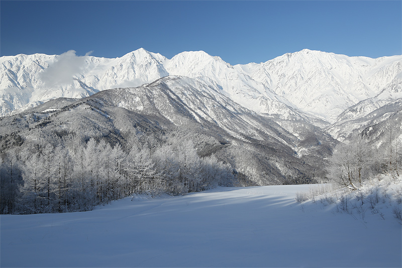 a0124543_7433599.jpg