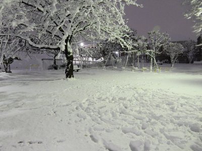 a0142343_135062.jpg