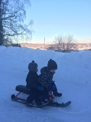 a0329149_16504926.jpeg
