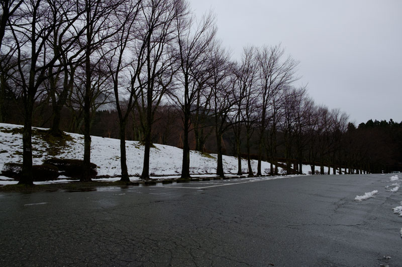 d0342652_1233370.jpg