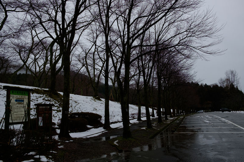 d0342652_1243723.jpg