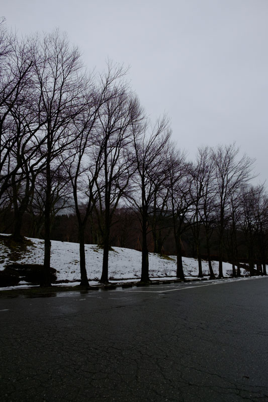 d0342652_124419.jpg