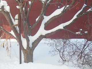 e0004756_21275250.jpg