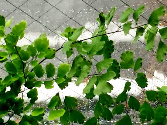 b0181457_14073272.jpeg