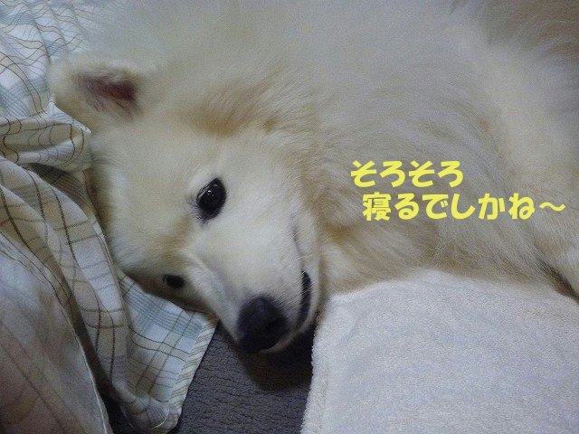 e0176159_21080077.jpg