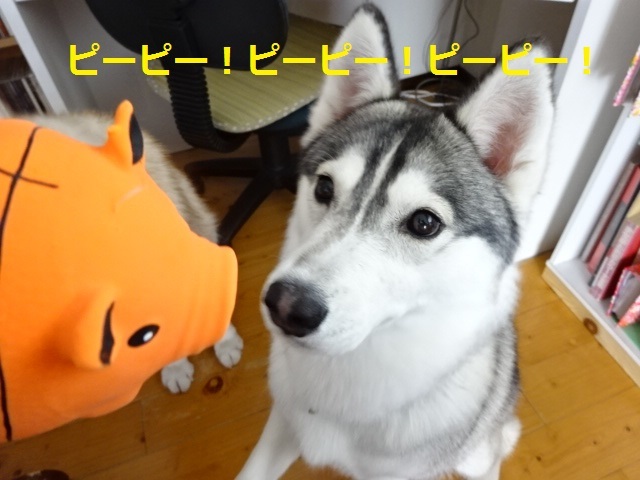 a0241761_15511167.jpg