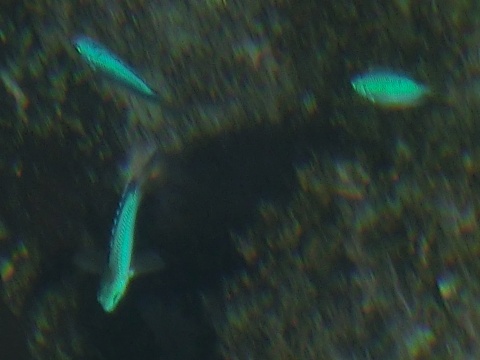 e0045768_2222451.jpg