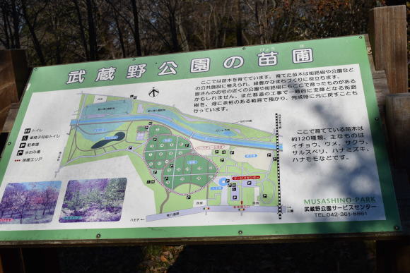 b0242873_01194810.jpg