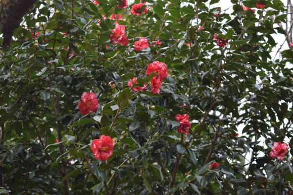 b0242873_01462454.jpg
