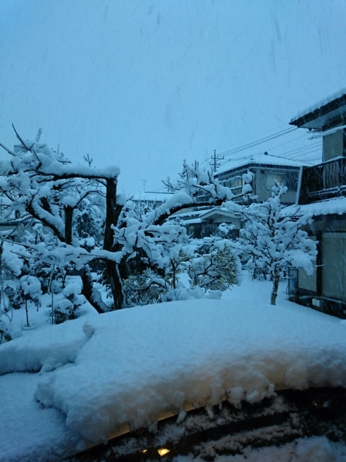 f0071477_08065323.jpg