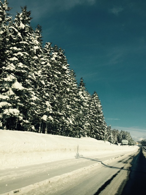 c0355484_23215167.jpg