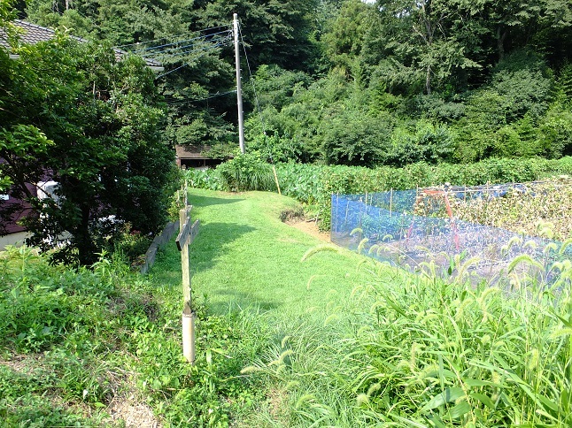 d0183387_13564172.jpg