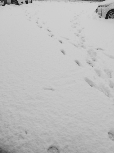 a0263388_09131077.jpeg