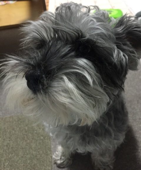 b0188998_01173663.jpeg
