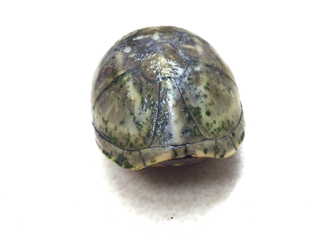 e0254814_00434157.jpg