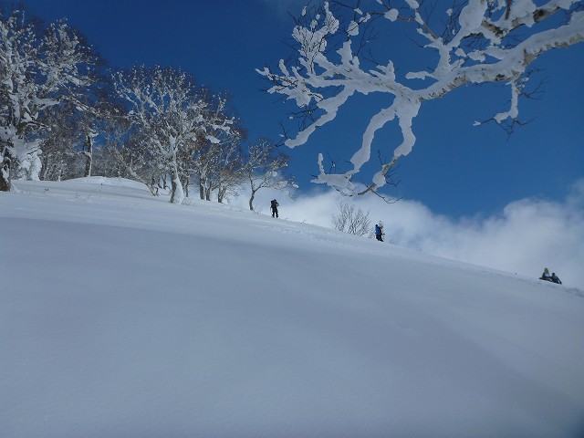 c0048117_10115892.jpg