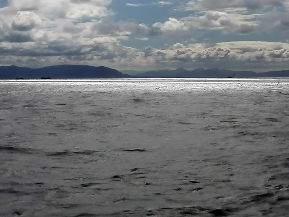 e0083517_01482981.jpg