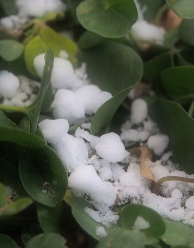 b0149340_2031260.jpg