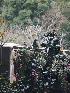 f0163446_1235157.jpg