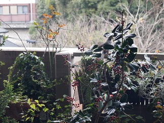 f0163446_124673.jpg
