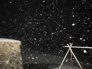 a0054948_2244393.jpg