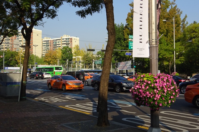 f0201054_2222356.jpg