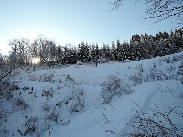 c0116856_19294051.jpg