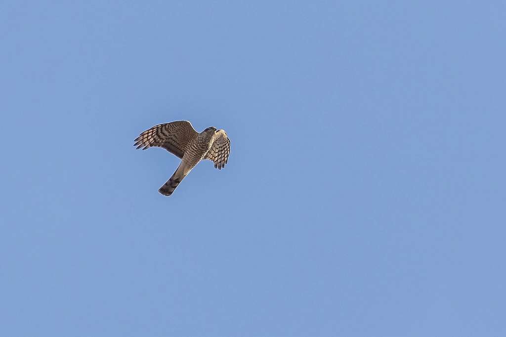 f0044056_08383948.jpg