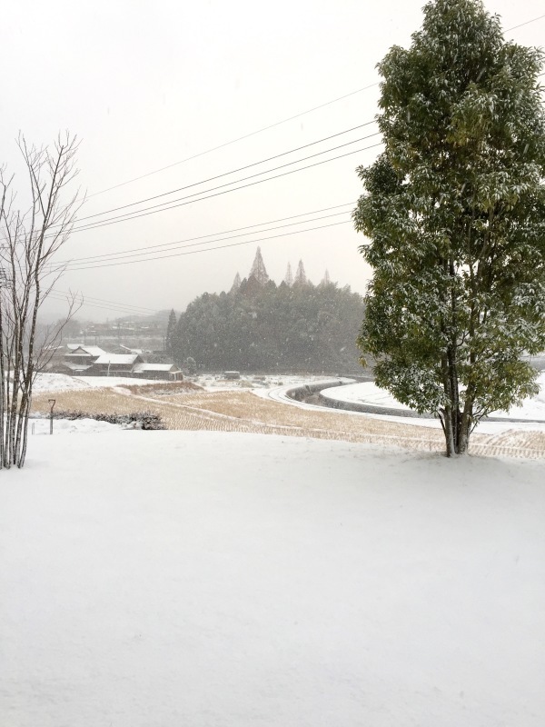 d0183368_07324771.jpeg