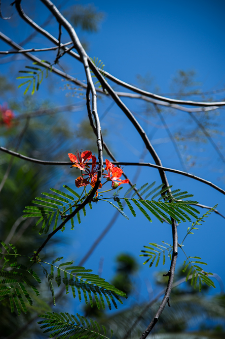 c0108673_0184123.jpg