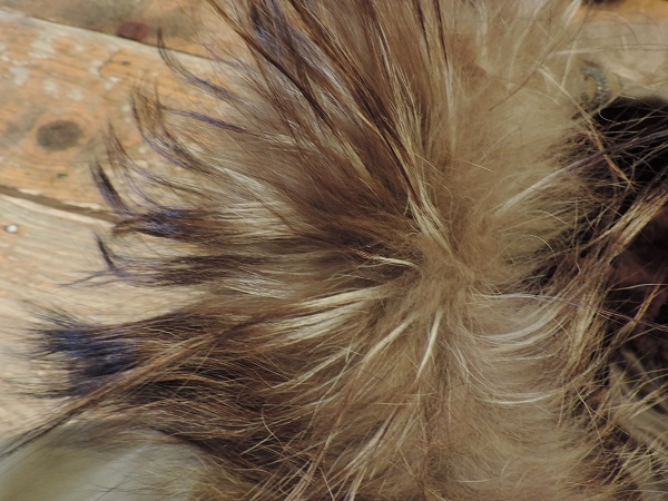 c0146178_1218578.jpg