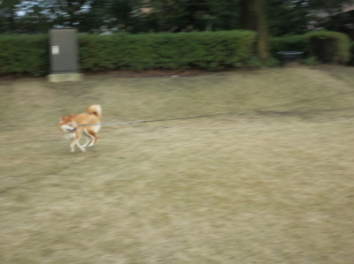 e0012580_17141101.jpg