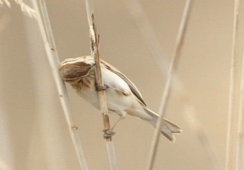 e0197884_21563337.jpg